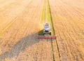 Crédito para inovação no agronegócio ganha reforço do CMN