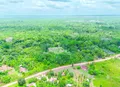 Pronaf Regularização Fundiária amplia apoio à agricultura familiar no Plano Safra
