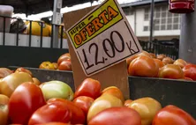 Preço do tomate avança mais de 141% neste ano em Alagoas