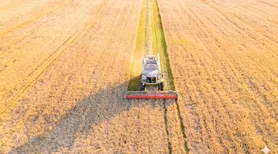 Crédito para inovação no agronegócio ganha reforço do CMN