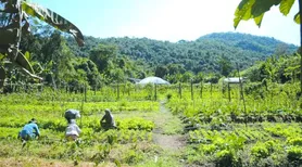 Fazenda estuda fundo garantidor para renegociação de dívidas rurais