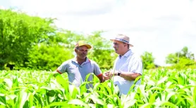 Garantia-Safra injeta quase R$ 32 milhões na economia de municípios alagoanos