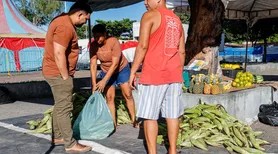 Preço da mão de milho varia entre R$ 35 e R$70 em Maceió e apresenta baixa procura