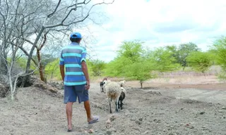 El Niño deve provocar escassez de chuvas em Alagoas