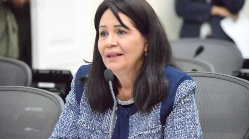 ALE aprova política estadual de proteção a crianças e adolescentes em situação de orfandade - Imagem