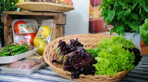 Ministério da Agricultura e Pecuária lança campanha de promoção de orgânicos - Imagem