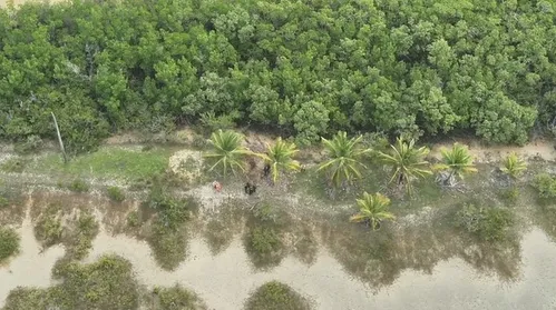 Polícia Civil localiza dois corpos na zona rural de Coruripe e investiga cemitério clandestino na região - Imagem
