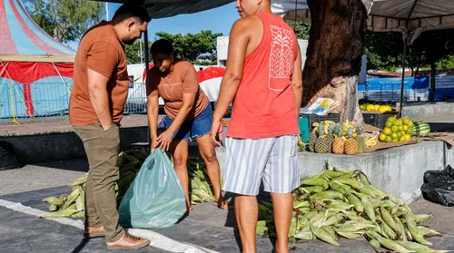 Preço da mão de milho varia entre R$ 35 e R$70 em Maceió e apresenta baixa procura - Imagem