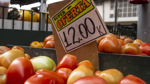 Preço do tomate avança mais de 141% neste ano em Alagoas - Imagem