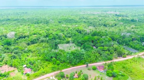 Pronaf Regularização Fundiária amplia apoio à agricultura familiar no Plano Safra - Imagem