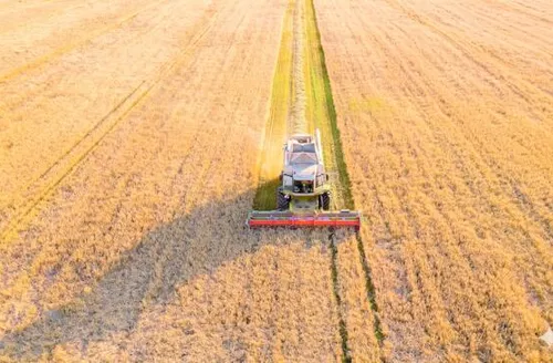 Crédito para inovação no agronegócio ganha reforço do CMN