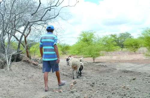 El Niño deve provocar escassez de chuvas em Alagoas