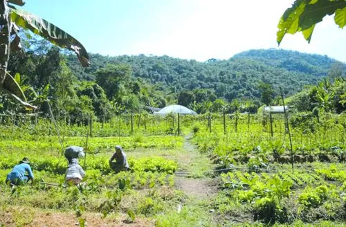 Fazenda estuda fundo garantidor para renegociação de dívidas rurais