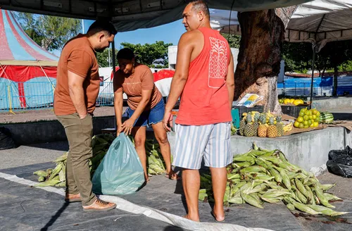 Preço da mão de milho varia entre R$ 35 e R$70 em Maceió e apresenta baixa procura
