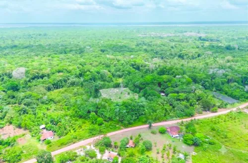 Pronaf Regularização Fundiária amplia apoio à agricultura familiar no Plano Safra