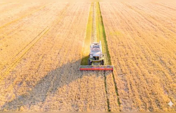 Crédito para inovação no agronegócio ganha reforço do CMN