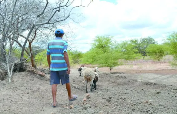 El Niño deve provocar escassez de chuvas em Alagoas