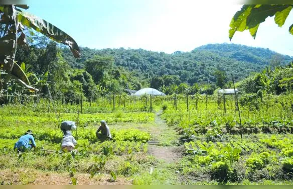 Fazenda estuda fundo garantidor para renegociação de dívidas rurais