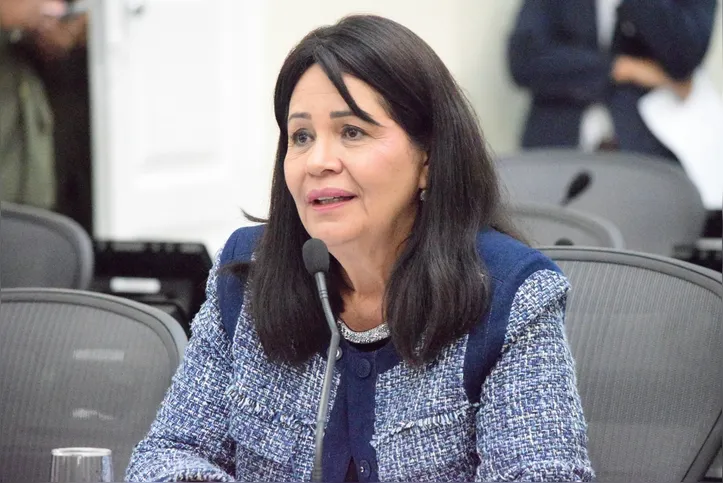 Imagem ilustrativa da imagem ALE aprova política estadual de proteção a crianças e adolescentes em situação de orfandade