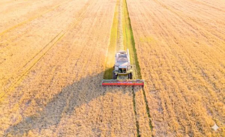 Medida amplia o acesso de produtores rurais pessoas físicas e empresários individuais a financiamentos voltados à inovação e à modernização tecnológica no campo