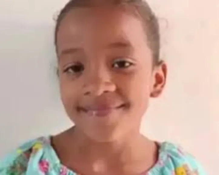 Imagem ilustrativa da imagem Criança de 11 anos morre após ser arremessada em piscina em Anadia