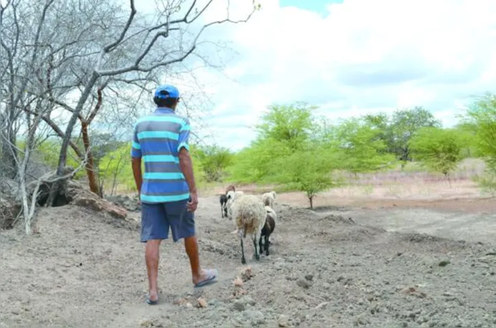 Sertão e Agreste devem ser as regiões mais afetadas pelos impactos do El Niño em Alagoas