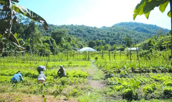 Governo federal discute criação de fundo garantidor para ampliar renegociação das dívidas do setor rural