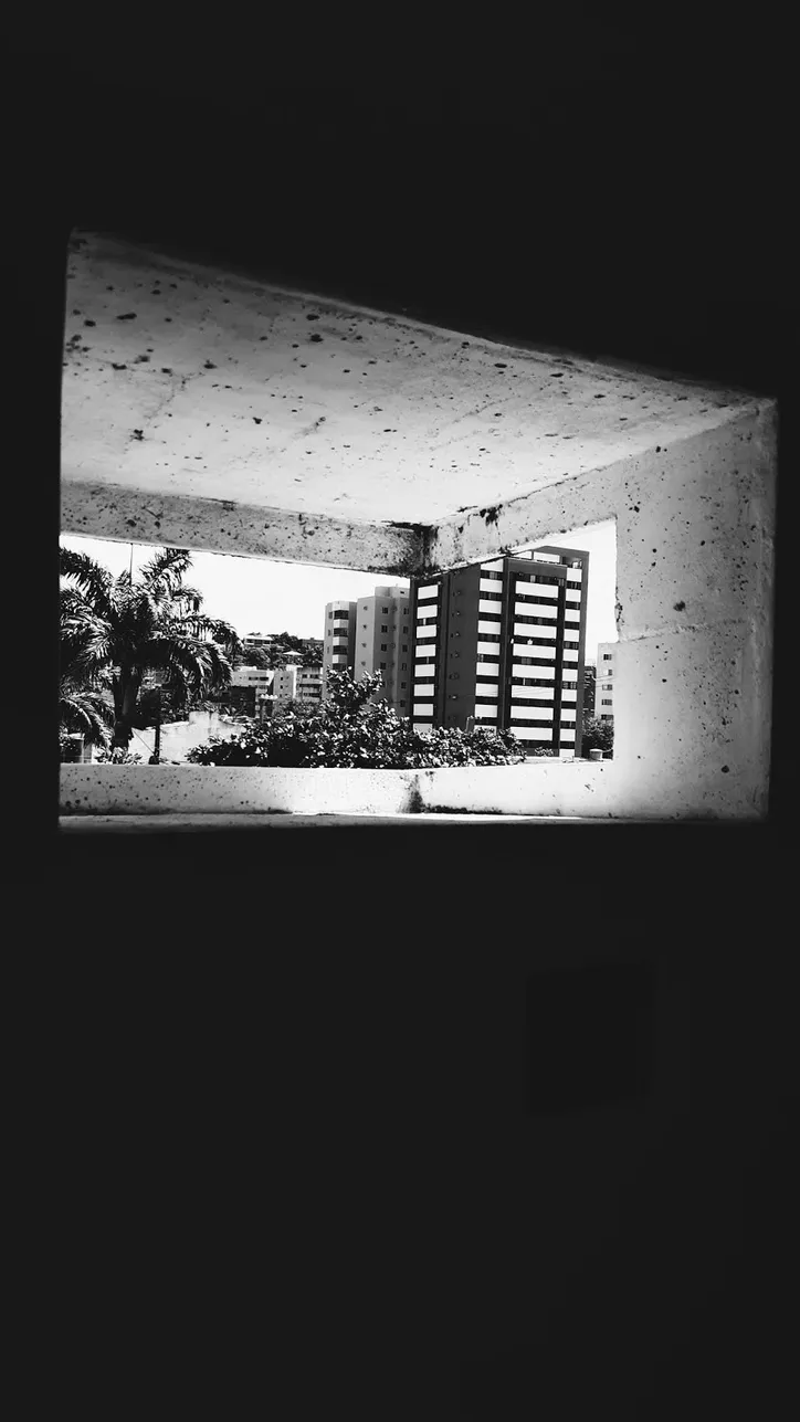 Imagem ilustrativa da imagem Fotos tiradas em AL duante a pandemia  integram exposição em Brasília