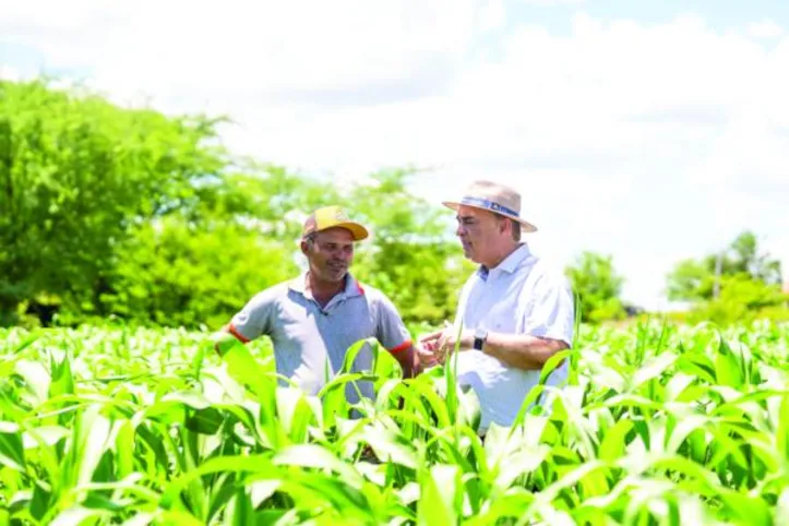 Mais de 26 mil agricultores alagoanos receberam o Garantia-Safra 2024/2025, no segundo maior volume de recursos liberados da série histórica