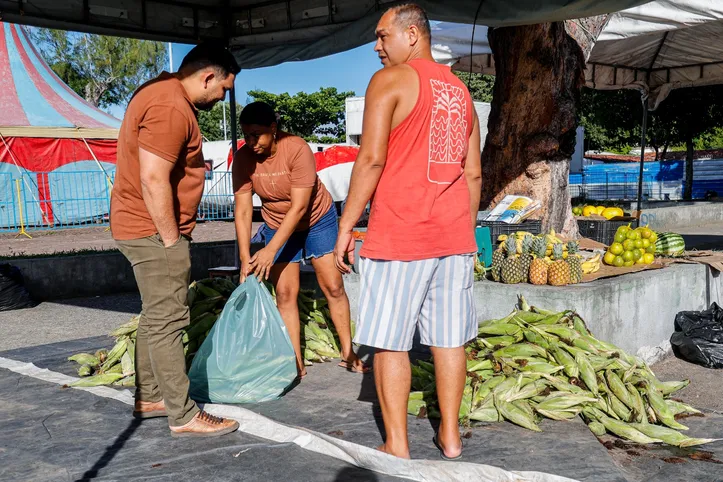Imagem ilustrativa da imagem Preço da mão de milho varia entre R$ 35 e R$70 em Maceió e apresenta baixa procura