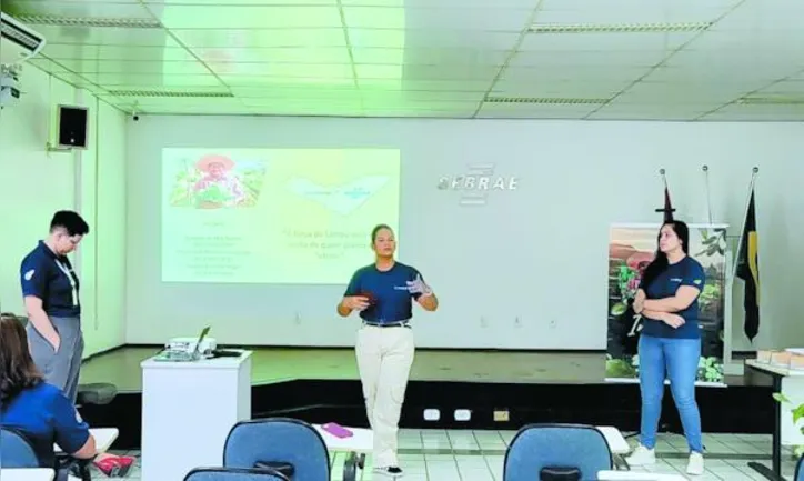 Programa ALI Rural seleciona profissionais para levar inovação, gestão e aumento de produtividade a propriedades rurais de Alagoas
