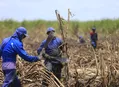 PIB de Alagoas é o terceiro maior do Nordeste, diz estudo