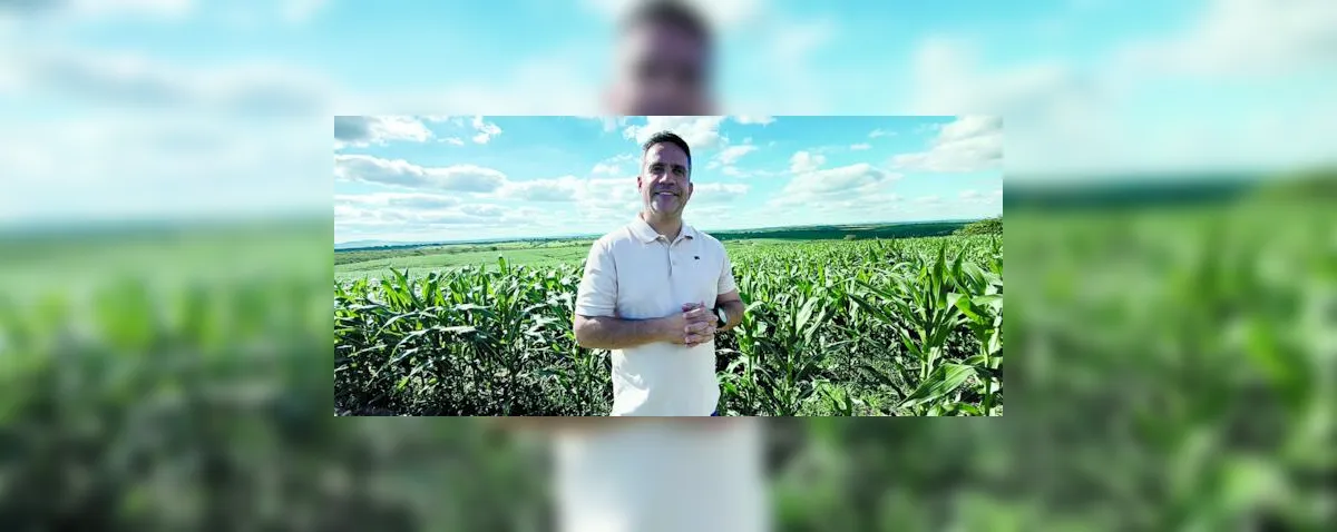 Cultivo de milho cresce no semiárido alagoano
