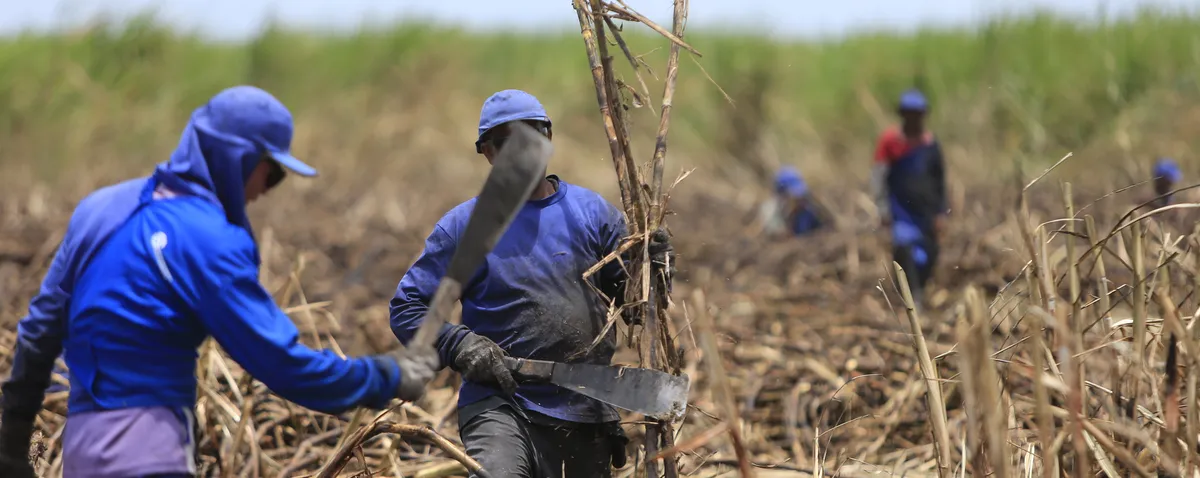 MP do governo federal beneficia produtores de cana de Alagoas