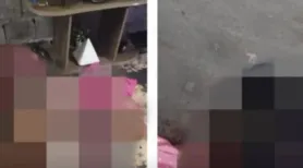 Dois irmãos e uma mulher são assassinados dentro de casa no Sertão de Alagoas