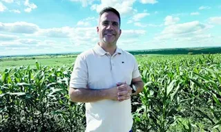Cultivo de milho cresce no semiárido alagoano