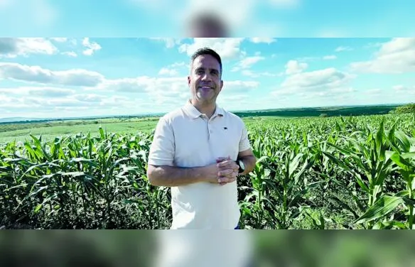Cultivo de milho cresce no semiárido alagoano