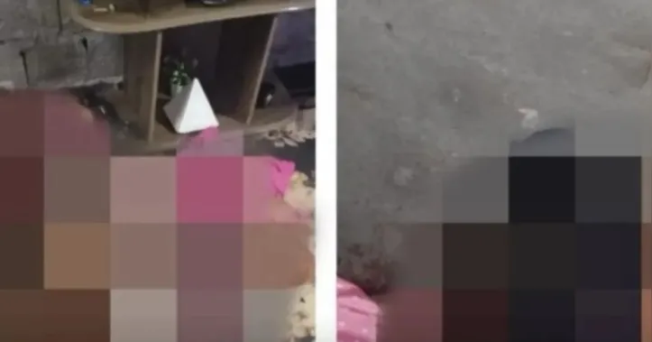 Imagem ilustrativa da imagem Dois irmãos e uma mulher são assassinados dentro de casa no Sertão de Alagoas