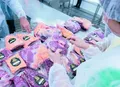 Carne premium de Alagoas ganha escala regional com cooperativa e uso de IA