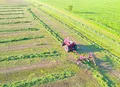 Medida Provisória institui apoio financeiro a produtores rurais e cooperativas afetados pelo clima