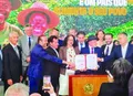 MP garante subvenção da cana aos fornecedores do Nordeste
