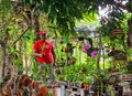Viveiros do MST em Alagoas cultivam mudas nativas para recuperar nascentes e biomas