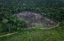Amazônia tem menor índice de desmatamento da década