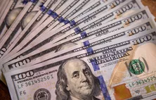 Brasil tem a maior entrada de dólares desde 2018