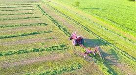 Medida Provisória institui apoio financeiro a produtores rurais e cooperativas afetados pelo clima