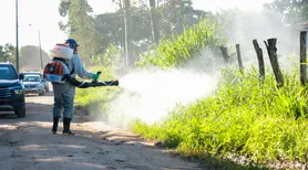 MP recomenda e União dos Palmares inicia ações para combater infestação de moscas