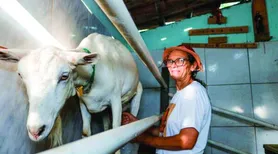 PAA Leite garante renda aos agricultores familiares no Semiárido