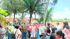 Propriedade-modelo mostra caminhos para 120 novos quintais produtivos em AL