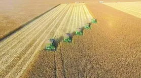Recuperação judicial no agro cresce 66% em um ano no Brasil