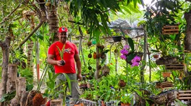 Viveiros do MST em Alagoas cultivam mudas nativas para recuperar nascentes e biomas